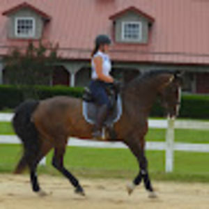 Meet your Posher, Fallon